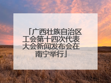 广西壮族自治区工会第十四次代表大会新闻发布会在南宁举行