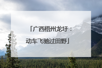 广西梧州龙圩：动车飞驰过田野