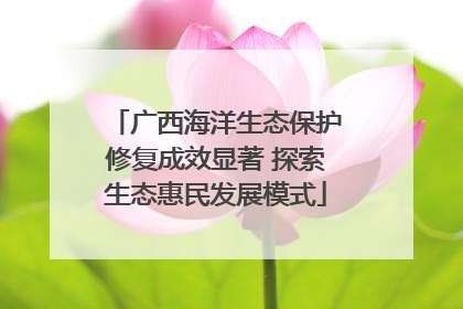 广西海洋生态保护修复成效显著 探索生态惠民发展模式