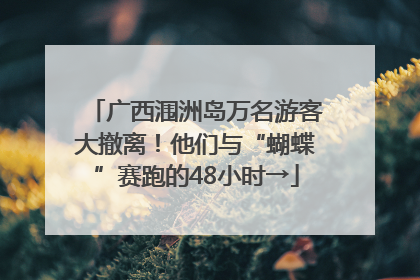 广西涠洲岛万名游客大撤离！他们与“蝴蝶”赛跑的48小时→