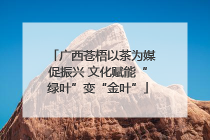 广西苍梧以茶为媒促振兴 文化赋能“绿叶”变“金叶”