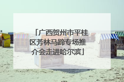 广西贺州市平桂区芳林马蹄专场推介会走进哈尔滨
