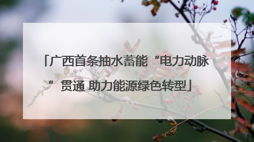 广西首条抽水蓄能“电力动脉”贯通 助力能源绿色转型
