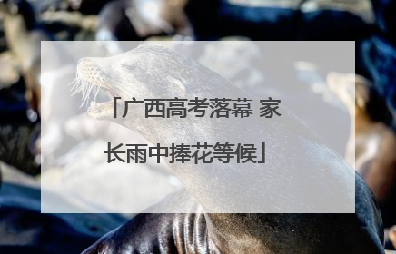 广西高考落幕 家长雨中捧花等候