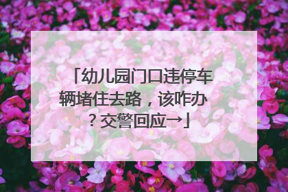 幼儿园门口违停车辆堵住去路，该咋办？交警回应→