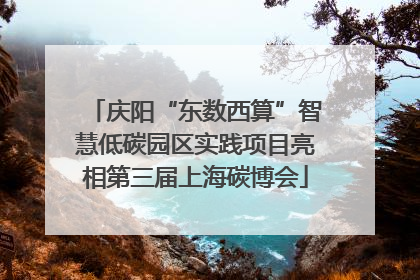 庆阳“东数西算”智慧低碳园区实践项目亮相第三届上海碳博会