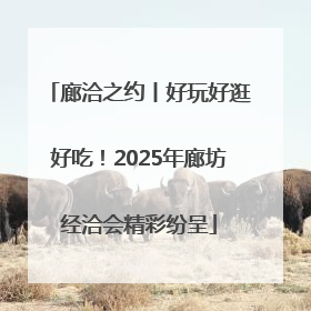 廊洽之约丨好玩好逛好吃！2025年廊坊经洽会精彩纷呈