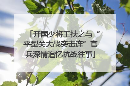 开国少将王扶之与“平型关大战突击连”官兵深情追忆抗战往事