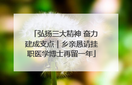 弘扬三大精神 奋力建成支点｜乡亲恳请挂职医学博士再留一年