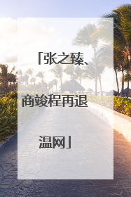 张之臻、商竣程再退温网