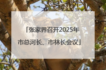 张家界召开2025年市总河长、市林长会议