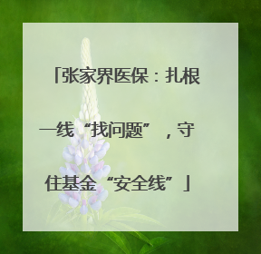 张家界医保：扎根一线“找问题”，守住基金“安全线”