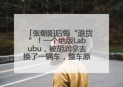 张朝阳后悔“退货”！一个绝版Labubu，被胡润拿去换了一辆车，整车原价值上百万元