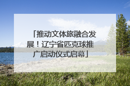 推动文体旅融合发展！辽宁省匹克球推广启动仪式启幕