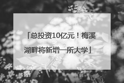 总投资10亿元！梅溪湖畔将新增一所大学