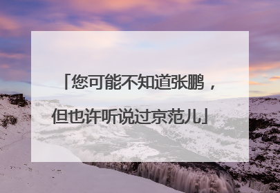 您可能不知道张鹏，但也许听说过京范儿