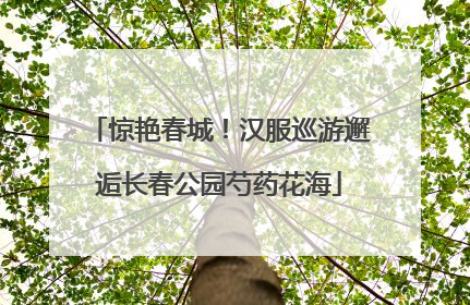 惊艳春城！汉服巡游邂逅长春公园芍药花海