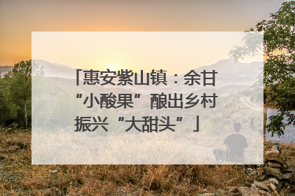 惠安紫山镇：余甘“小酸果”酿出乡村振兴“大甜头”