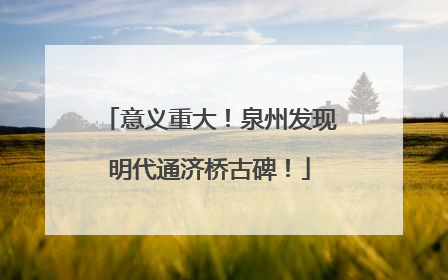 意义重大！泉州发现明代通济桥古碑！
