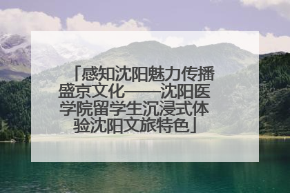 感知沈阳魅力传播盛京文化——沈阳医学院留学生沉浸式体验沈阳文旅特色