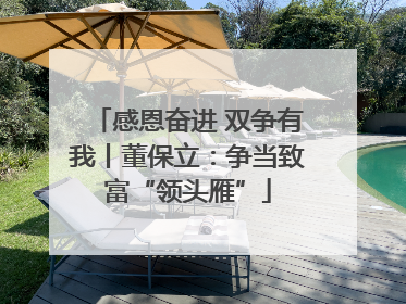 感恩奋进 双争有我丨董保立：争当致富“领头雁”