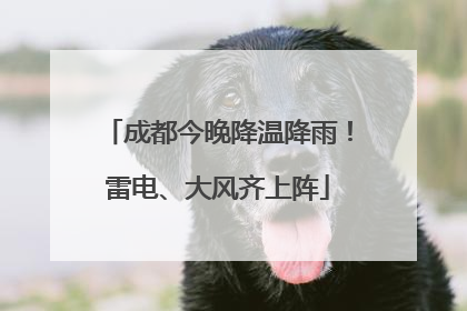 成都今晚降温降雨！雷电、大风齐上阵