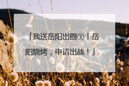 我送岳阳出圈③丨岳阳烧烤，申请出战！
