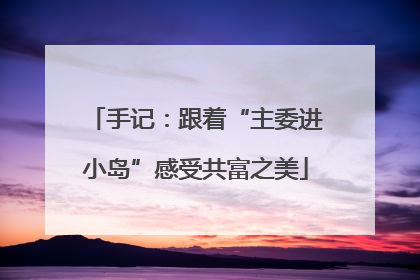 手记：跟着“主委进小岛”感受共富之美