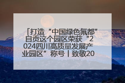 打造“中国绿色氟都” 自贡这个园区荣获“2024四川高质量发展产业园区”称号丨致敬2024经济影响力人物