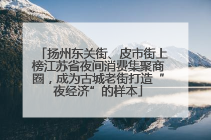 扬州东关街、皮市街上榜江苏省夜间消费集聚商圈，成为古城老街打造“夜经济”的样本