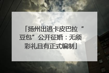 扬州出逃卡皮巴拉“豆包”公开征婚：无须彩礼且有正式编制