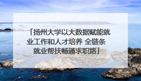 扬州大学以大数据赋能就业工作和人才培养 全链条就业帮扶畅通求职路