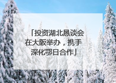投资湖北恳谈会在大阪举办，携手深化鄂日合作