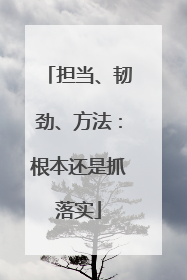 担当、韧劲、方法：根本还是抓落实
