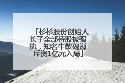杉杉股份创始人长子全部持股被强执，知名牛散魏巍斥资1亿元入局
