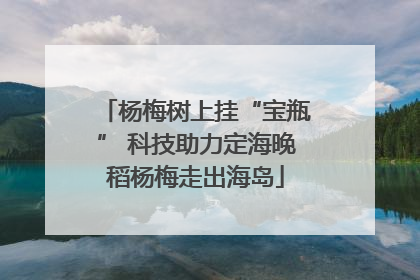 杨梅树上挂“宝瓶” 科技助力定海晚稻杨梅走出海岛