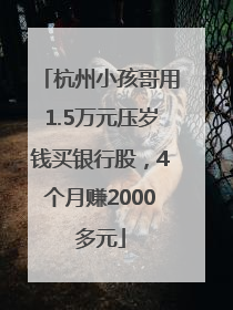 杭州小孩哥用1.5万元压岁钱买银行股，4个月赚2000多元