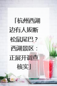 杭州西湖边有人拔断松鼠尾巴？西湖景区：正展开调查核实