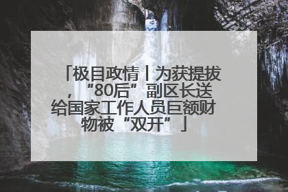 极目政情丨为获提拔，“80后”副区长送给国家工作人员巨额财物被“双开”