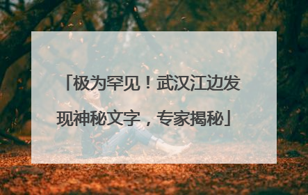 极为罕见！武汉江边发现神秘文字，专家揭秘