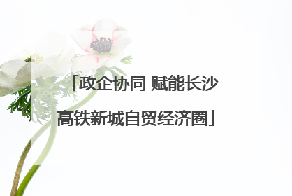 政企协同 赋能长沙高铁新城自贸经济圈