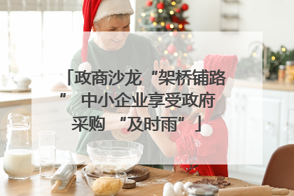 政商沙龙“架桥铺路” 中小企业享受政府采购 “及时雨”