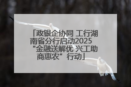 政银企协同 工行湖南省分行启动2025“金融送解优 兴工助商惠农”行动