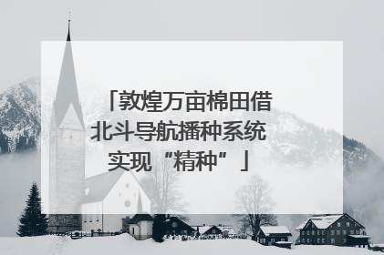 敦煌万亩棉田借北斗导航播种系统实现“精种”
