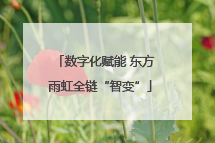 数字化赋能 东方雨虹全链“智变”