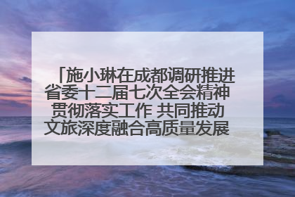施小琳在成都调研推进省委十二届七次全会精神贯彻落实工作 共同推动文旅深度融合高质量发展 加快打造支柱产业民生产业幸福产业