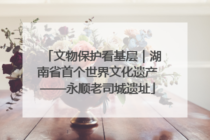 文物保护看基层｜湖南省首个世界文化遗产——永顺老司城遗址