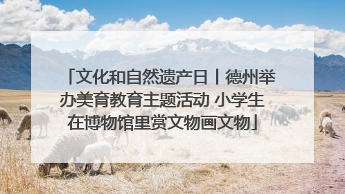 文化和自然遗产日丨德州举办美育教育主题活动 小学生在博物馆里赏文物画文物