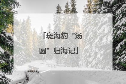 斑海豹“汤圆”归海记