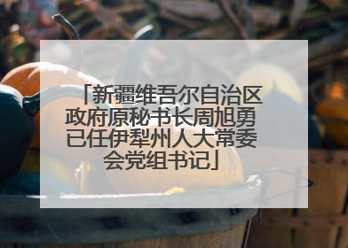 新疆维吾尔自治区政府原秘书长周旭勇已任伊犁州人大常委会党组书记